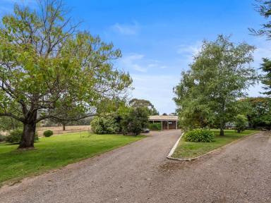 Farm For Sale - NSW - Emu Swamp - 2800 - “YARRAWONGA PARK"  (Image 2)