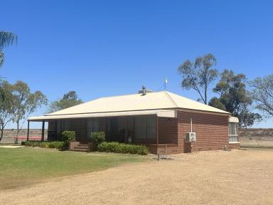 Farm For Sale - NSW - Moree - 2400 - AFFORDABLE ACREAGE - A GREAT STARTER  (Image 2)