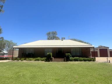 Farm For Sale - NSW - Moree - 2400 - AFFORDABLE ACREAGE - A GREAT STARTER  (Image 2)
