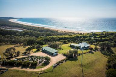 Farm Sold - NSW - Cuttagee - 2546 - Unparalleled Location - as rare as it is remarkable. 
Location, Location, Location!  (Image 2)