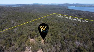 Farm For Sale - NSW - Ashby Heights - 2463 - DISCOMBOBULATION:  (Image 2)
