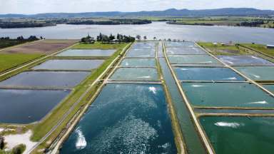 Farm For Sale - NSW - Palmers Island - 2463 - Tru Blu Prawn Farm  (Image 2)