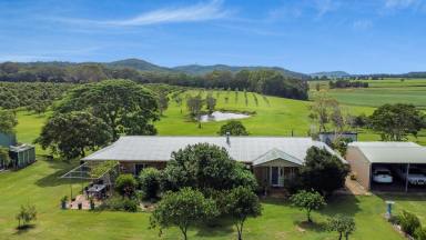 Farm For Sale - NSW - South Arm - 2460 - LIFESTYLE PLUS, WITH A BEAUTIFUL 66 ACRE PROPERTY AND BUILT IN INCOME STREAM!  (Image 2)