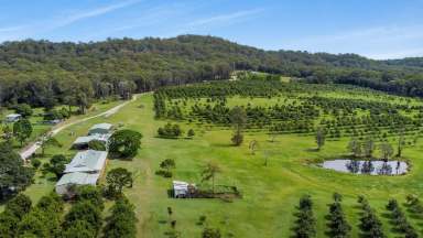 Farm For Sale - NSW - South Arm - 2460 - LIFESTYLE PLUS, WITH A BEAUTIFUL 66 ACRE PROPERTY AND BUILT IN INCOME STREAM!  (Image 2)