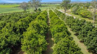 Farm For Sale - NSW - South Arm - 2460 - LIFESTYLE PLUS, WITH A BEAUTIFUL 66 ACRE PROPERTY AND BUILT IN INCOME STREAM!  (Image 2)