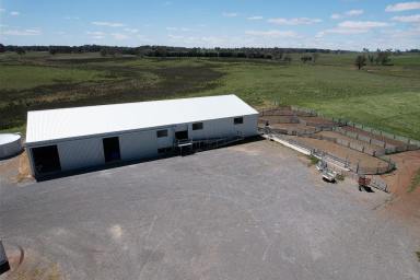 Farm For Sale - NSW - Gunning - 2581 - End of an era at Walwa Homestead  (Image 2)