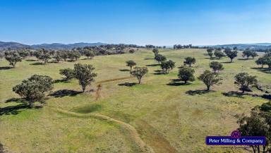 Farm For Sale - NSW - Wellington - 2820 - Quality Soils, River Water Supply  (Image 2)