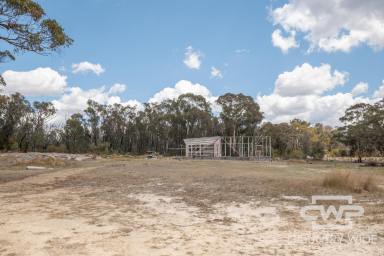 Farm For Sale - NSW - Torrington - 2371 - Escape to Tranquil Bush Paradise  (Image 2)