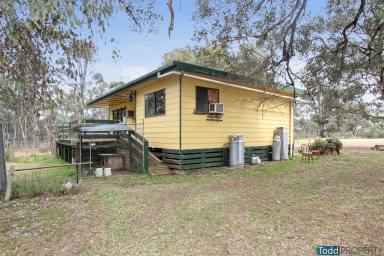 Farm For Sale - VIC - Toolleen - 3551 - AFFORDABLE ACREAGE  (Image 2)