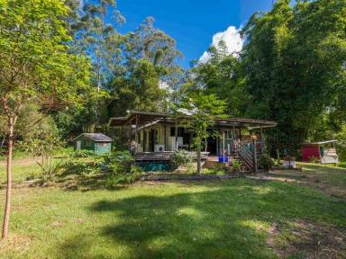 Farm For Sale - NSW - Mount Burrell - 2484 - PERENNIAL PARADISE.  (Image 2)