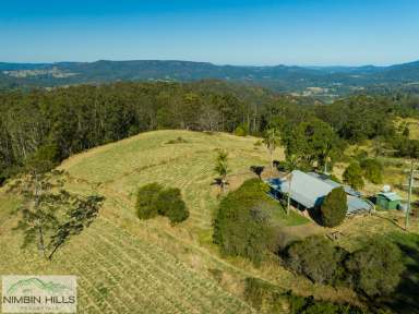 Farm For Sale - NSW - Homeleigh - 2474 - Perfect Lifestyle Farmlet  (Image 2)