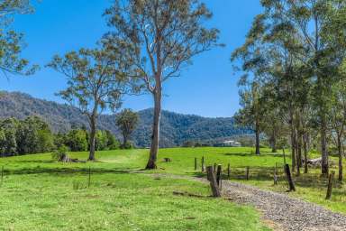 Farm For Sale - NSW - Kyogle - 2474 - Price Reduced! 360 Degrees of Breathtaking!  (Image 2)