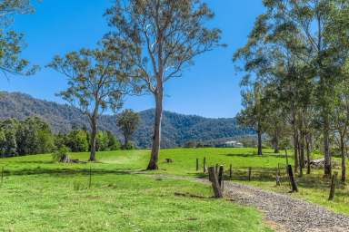 Farm Sold - NSW - Kyogle - 2474 - Price Reduced! 360 Degrees of Breathtaking!  (Image 2)