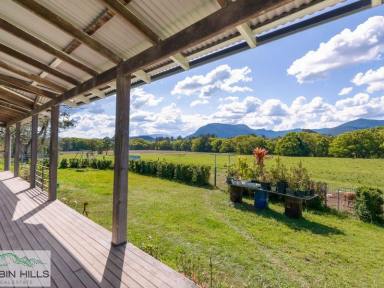 Farm For Sale - NSW - Nimbin - 2480 - Three Titles, Two Houses, Endless Opportunities!  (Image 2)