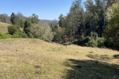 Farm Sold - NSW - Ellenborough - 2446 - Weekend Escape or Opportunity for Small Scale Farming Venture  (Image 2)