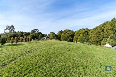 Farm For Sale - VIC - Beech Forest - 3237 - Let Your Imagination Run Wild...  (Image 2)