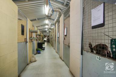 Farm For Sale - VIC - Beechworth - 3747 - This Is the Place Where Vets Leave Their Pets  (Image 2)