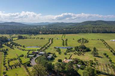 Farm For Sale - NSW - Telegraph Point - 2441 - Highly Productive Riverfront Rural – 110 Acres  (Image 2)