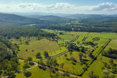 Farm For Sale - NSW - Telegraph Point - 2441 - Highly Productive Riverfront Rural – 110 Acres  (Image 2)