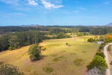 Farm Sold - NSW - Herons Creek - 2439 - Arndale Homestead - 52.2ha / 128 acres  (Image 2)