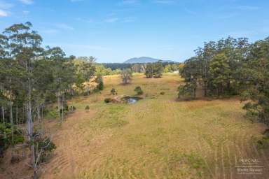 Farm Sold - NSW - Herons Creek - 2439 - Arndale Homestead - 52.2ha / 128 acres  (Image 2)