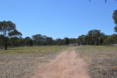 Farm Sold - NSW - Mudgee - 2850 - RARE AS HEN'S TEETH!  (Image 2)