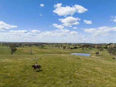 Farm Sold - NSW - Yass - 2582 - Rare Opportunity - Deceased Estate | Auction Reserve - $899,000  (Image 2)