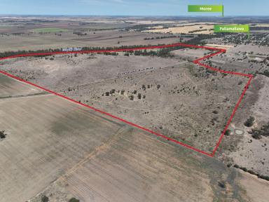 Farm Auction - NSW - Moree - 2400 - Prime Pally Acreage with Extensive Gwydir River Frontage  (Image 2)