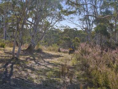 Farm Sold - NSW - Oallen - 2622 - Nature Enthusiast's Paradise in Oallen! - Buyers Guide = $499,000  (Image 2)