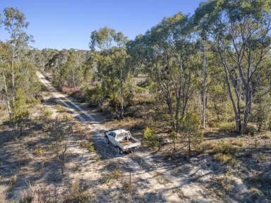 Farm Sold - NSW - Oallen - 2622 - Nature Enthusiast's Paradise in Oallen! - Buyers Guide = $499,000  (Image 2)