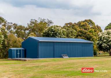 Farm Sold - WA - McKail - 6330 - Extreme Value Lifestyle with The Lot  (Image 2)