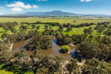 Farm For Sale - VIC - Beaufort - 3373 - "Eurambeen Station" Renowned Western Victorian Holding 2343Ha (5790 acres)*  (Image 2)