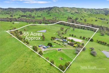 Farm Sold - VIC - Yea - 3717 - Country Run on 55 Acres Approx  (Image 2)