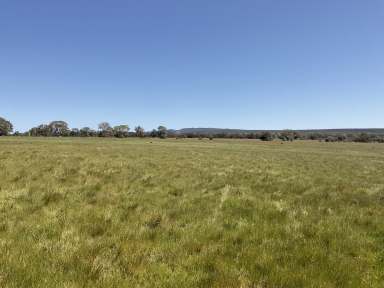 Farm Sold - VIC - Brimpaen - 3401 - Fantastic Opportunity!  (Image 2)