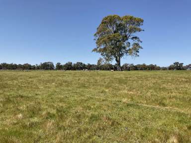 Farm Sold - VIC - Brimpaen - 3401 - Fantastic Opportunity!  (Image 2)