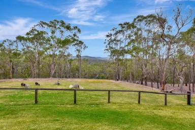 Farm Sold - NSW - Bucketty - 2250 - Impressive Home in a Private Rural Setting  (Image 2)