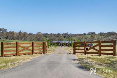 Farm Sold - VIC - Sedgwick - 3551 - Considering Building? Consider This  (Image 2)