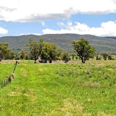 Farm For Sale - NSW - Bingara - 2404 - Gwydir River Acreage  (Image 2)