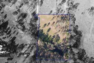 Farm For Sale - NSW - Stroud - 2425 - Your Blank Canvas  (Image 2)