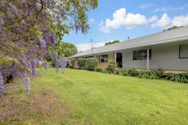 Farm Sold - NSW - Berry - 2535 - Convenient rural living  (Image 2)