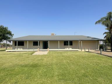 Farm For Sale - NSW - Moree - 2400 - YOUR OWN PRIVATE OASIS  (Image 2)