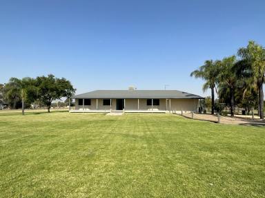 Farm For Sale - NSW - Moree - 2400 - YOUR OWN PRIVATE OASIS  (Image 2)