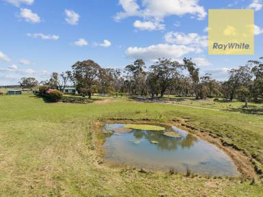 Farm For Sale - NSW - Crookwell - 2583 - "Peppermint Ridge"  (Image 2)
