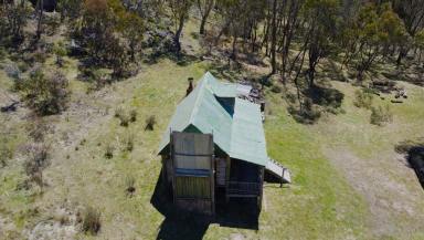 Farm Sold - NSW - Yaouk - 2629 - “Dacha” Style Snowy Hut  (Image 2)