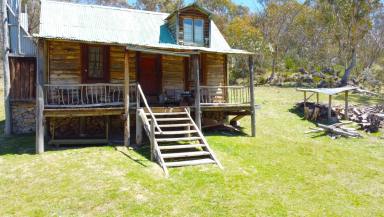 Farm Sold - NSW - Yaouk - 2629 - “Dacha” Style Snowy Hut  (Image 2)