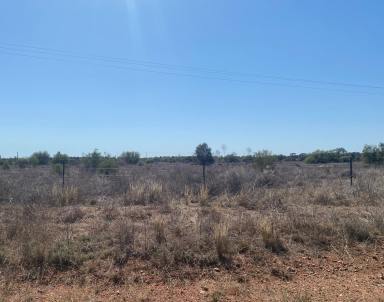 Farm For Sale - NSW - Cobar - 2835 - The perfect block for you!  (Image 2)