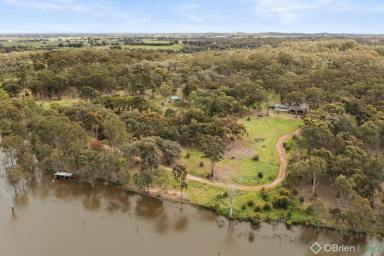Farm Sold - VIC - Earlston - 3669 - Escape to the Country – Ultimate Adventure Playground!  (Image 2)