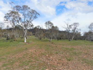 Farm For Sale - NSW - Carlaminda - 2630 - 40 Acres with River Frontage + Privacy  (Image 2)