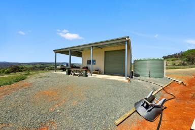 Farm For Sale - NSW - Batlow - 2730 - Main Road Exposure!  (Image 2)