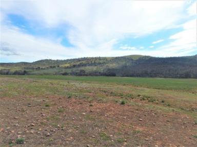 Farm For Sale - NSW - Carlaminda - 2630 - 120 Acres on The River  (Image 2)